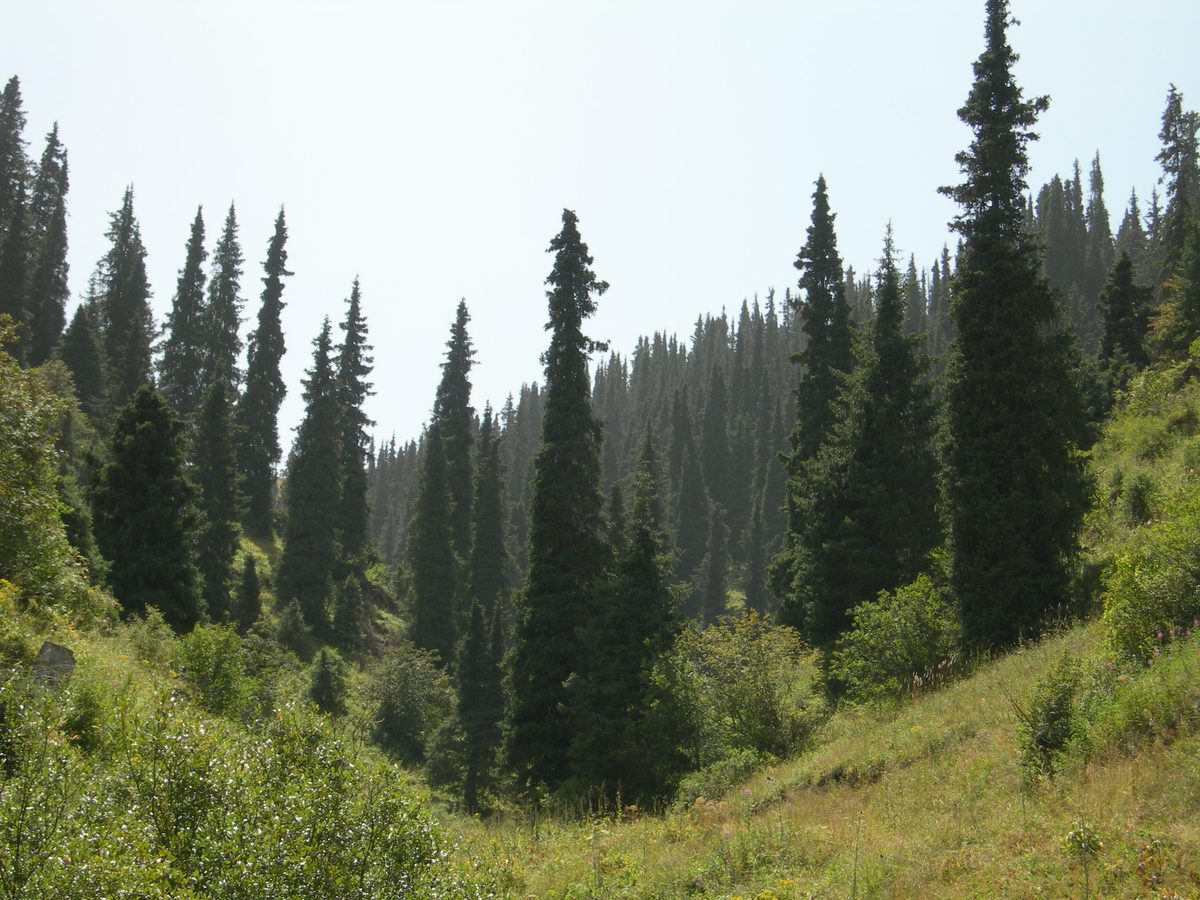 Karakol Valley alpine landscape